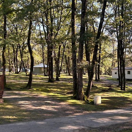 Camping Les Petites Minaudieres Coussay-les-Bois المظهر الخارجي الصورة