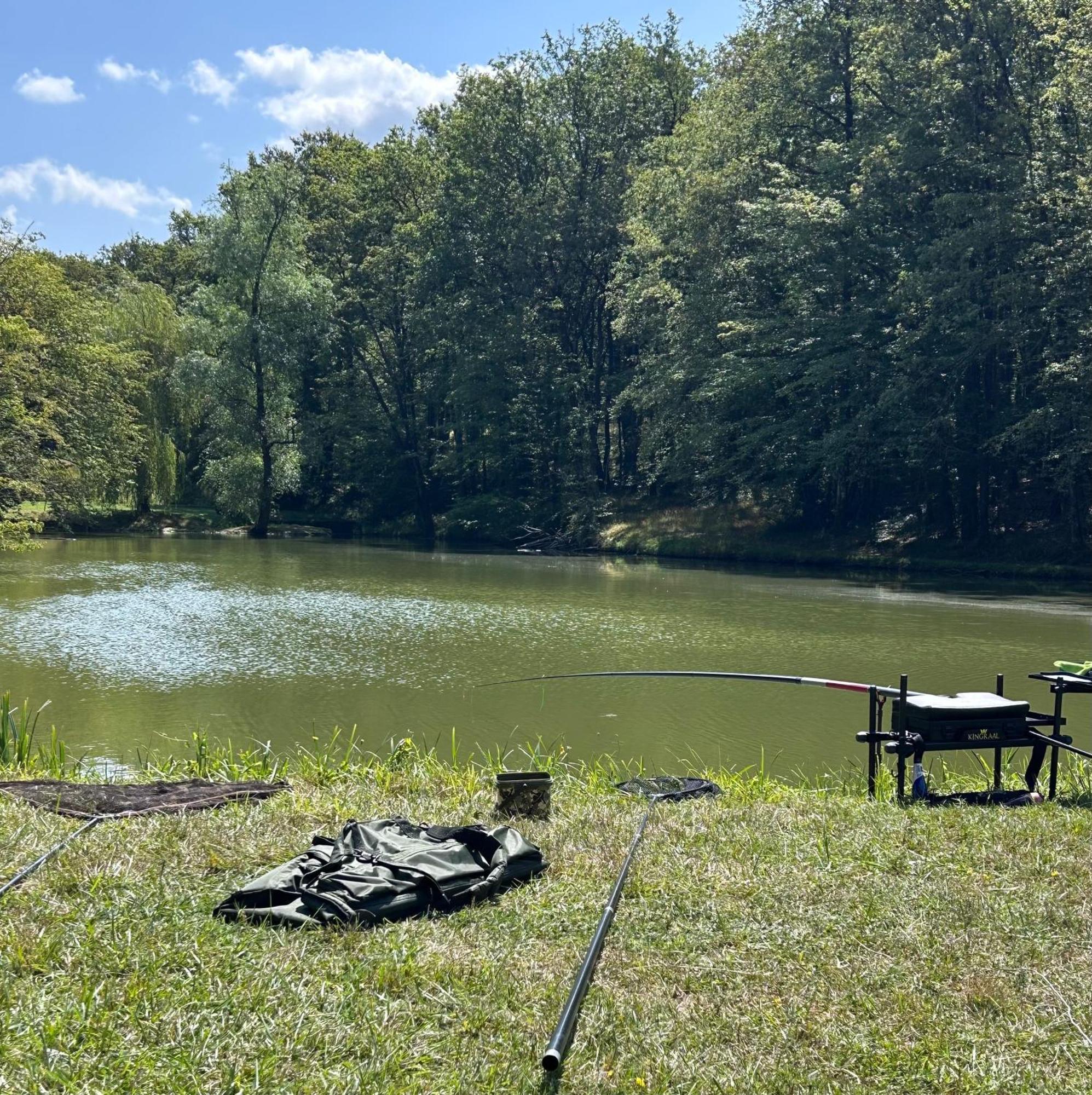 Camping Les Petites Minaudieres Coussay-les-Bois المظهر الخارجي الصورة